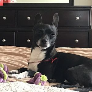 Meet your Posher, Paulina